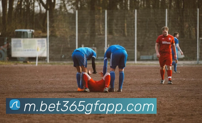 bet365中国官网APP 封面图